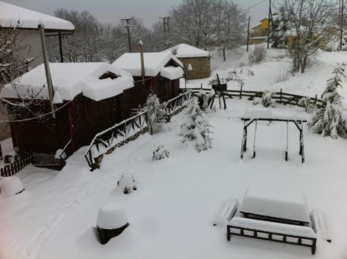 מטמורפוסי Chalet Parea מראה חיצוני תמונה